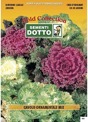 Semi Di Cavolo Ornamentale In Mix H Cm 45 Amazon It Giardino E Giardinaggio