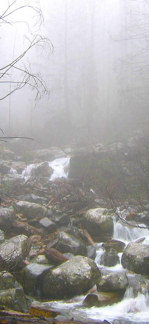 PeelitStickit, Beautiful Nature Wall Murals, ID-1881, vinyl