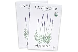 Sereniseed Certified Organic English Lavender Seeds (2-Pack) – 100% Non GMO, Open Pollinated – Grow Guide