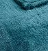 Thesis Fleece Cashmere Plush Throw Blanket Teal Throw Size Blanket – Soft Cozy Plush Luxury Microfiber Blanket, 50x60 Inches