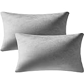DEZENE Lumbar Pillow Covers 12x20 Light-Grey: Pack of 2 Cozy Soft Velvet Rectangular Modern Luxury Decorative Throw Pillow Cases for Sofa Couch Living Room Bed Home Decor