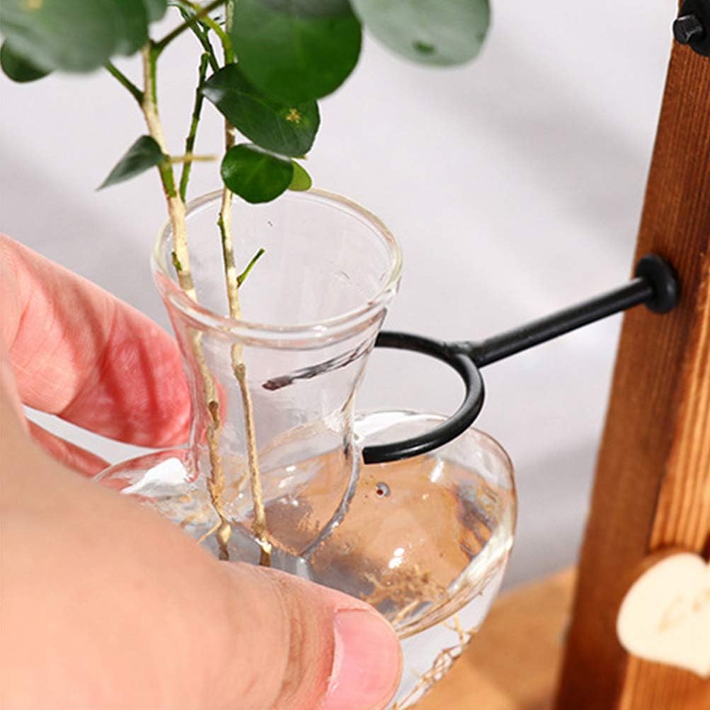 Vaso per fiori incernierato Provetta Porta piante Terrario Vetro pieghevole per – acquista a prezzi convenienti sul marketplace