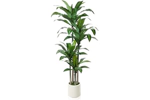 OAKRED Artificial Dracaena Tree 6ft, Tall Fake Dracaena Plants with White Planter, Faux Dragon Tree Indoor Floor Plant for Home Decor Office Living Room Porch Housewarming, 1Pcs
