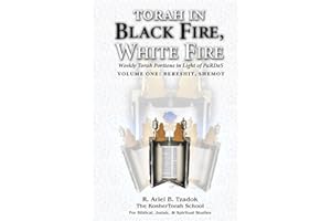 Torah in Black Fire, White Fire: Weekly Torah Portions in Light of PaRDeS