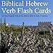 Biblical Hebrew Verb Flash Cards - 221 Most Frequent Verbs In The Hebrew Bible To Study Vocabulary
