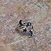 LUX ACCESSORIES Galaxy Celestial Crescent Moon Star Mood Wrap Ring