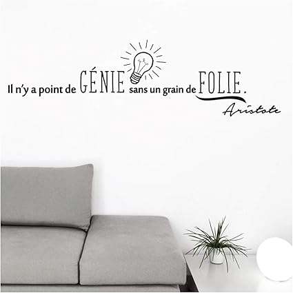 Les Tresors De Lily P5285 Planche De Stickers Citations Il N Y A Point De Genie Sans Un Grain De Folie Aristote 50x70 Cm Amazon Fr Cuisine Maison