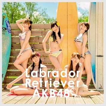 ラブラドール レトリバー Type B 初回限定盤 多売特典生写真なし Akb48