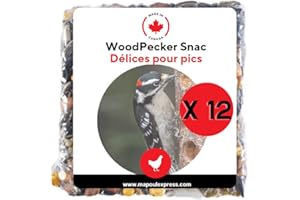 Wild Bird Suet Cakes, High-Energy Food for Backyard Birds (12 Pack, Woodpecker)