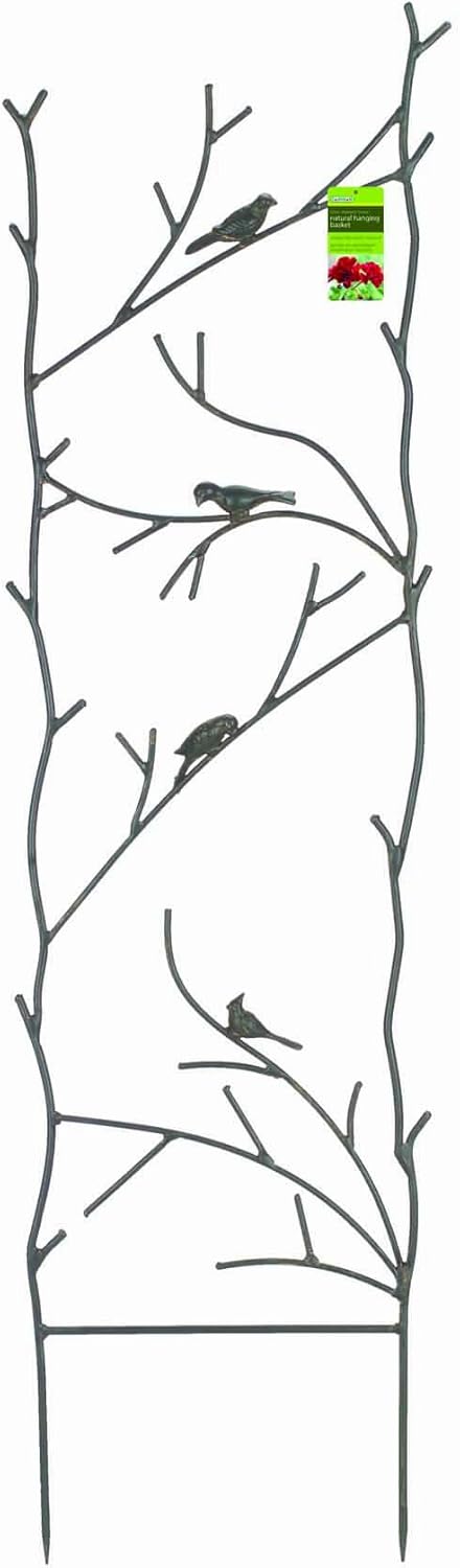 Best Free Standing Garden Trellis For Climbing Plants