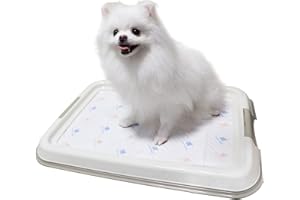 PAWISE Puppy Pee Pad Holder, Dog Training Pad Tray for Puppies and Small Dogs, Non-Slip Reusable Dog Pad Holder, Pet Toilet Tray for Potty Training(Suitable for 15*10 Pee Pad)