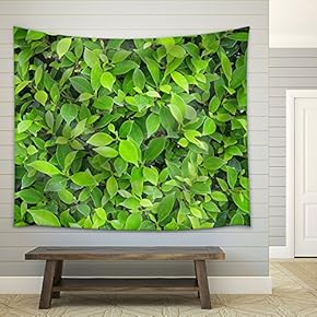 Green Leaves Wall Background - Fabric Wall Tapestry Home Decor - 51x60 inches