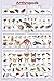 Laminated Arthropods Insects Educational Science Chart Crustacea Hexaoda Poster 24 x 36