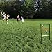 Maranda Enterprises Double Ladderball Game