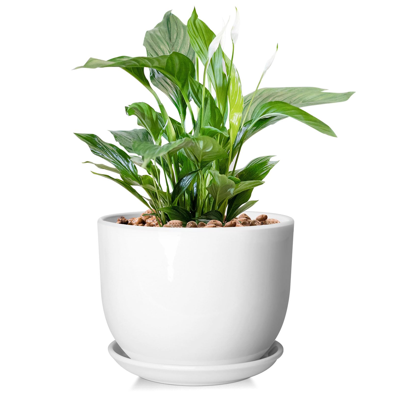 Photo 1 of YUFDA 8 Inch Ceramic Planter, Plant Pots with Drainage Hole and Separable Saucer,Indoor-Outdoor Round Succulent Orchid Flower Pot,Indoor pots for Plants(Smooth White,Plant Pot only)