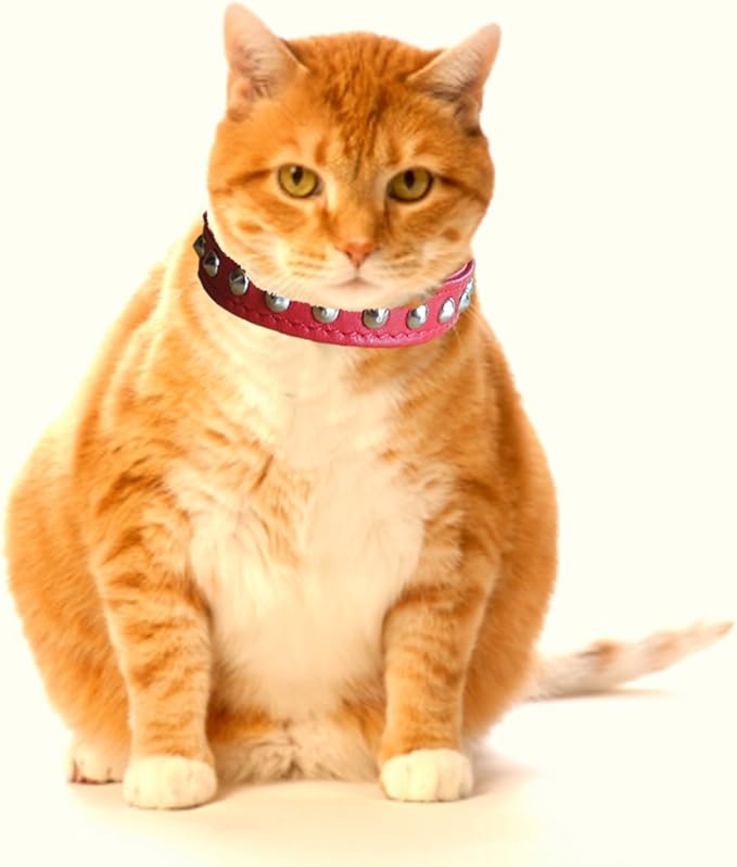 black studded cat collar