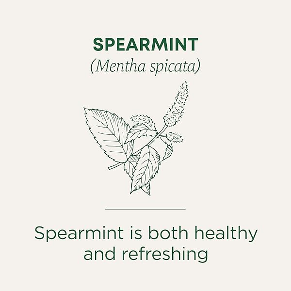 TRADITIONAL MEDICINALS TEA, ORGANIC SPEARMINT, SUPPORTS EVERYDAY WELLNESS, HEALTHY & REFRESHING – 48 TEA BAGS