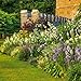 2015 English Country Gardens Wall Calendar