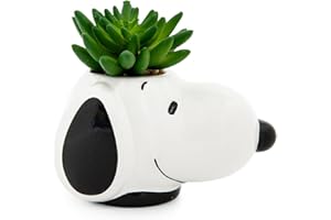 Peanuts Snoopy Face Ceramic Mini Planter with Artificial Succulent | Small Flower Pot, Faux Indoor Plants for Desk Shelf, Home Decor Trinket Tray | Cute Charlie Brown Gifts and Collectibles