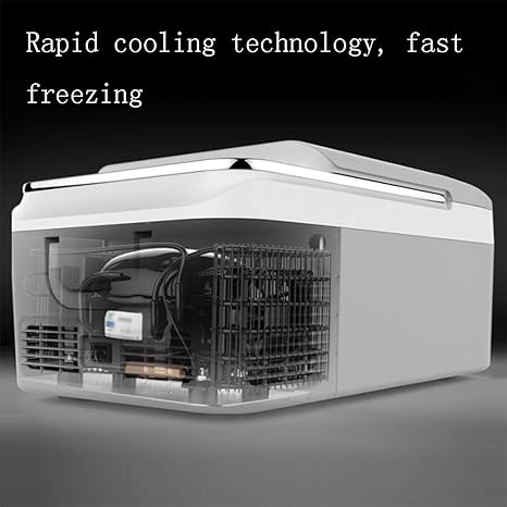 ZMJY Caja Mini refrigerador, Caja eléctrica fría y Caliente ...