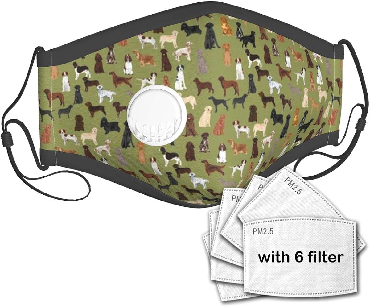 Cute Face Protection Sporting Dogs Dog Breeds Sporting