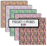 CSDS Vinyl Paisley Printed Vinyl Bundle Pack of 5 Paisley Patterned Adhesive Vinyl Printed Heat Transfer Vinyl Paisley Print HTV Bundle Vinyl Pack (Heat Transfer Vinyl)