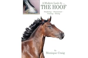 A Modern Look At ... THE HOOF: Morphology Measurement Trimming Shoeing