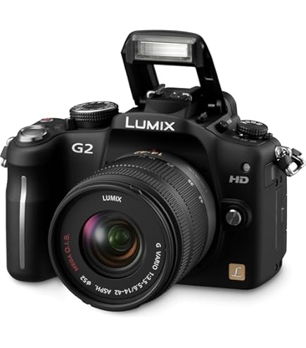 Amazon.com : Panasonic Lumix DMC-GF3 12 MP Micro 4/3 Mirrorless