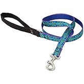 LupinePet Originals 3/4" Rain Song 6-Foot Padded Handle Leash for Medium and Larger Dogs