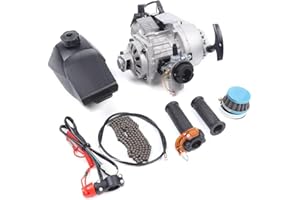 TIPYOUMALL 49cc 2 Stroke Pull Start Engine Motor Kit, Single Cylinder Air Cooled Motor Engine, Go Kart Forward Reverse Gearbox Kit Fits Mini Pocket Dirt Bike Scooter ATV or Scooter