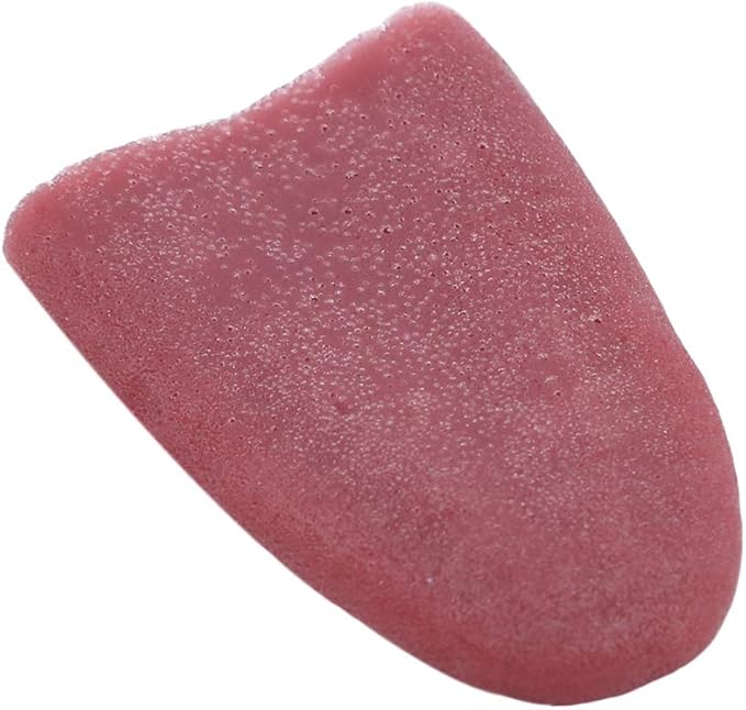 Timetries Realistic Fake Tongue Gross Jokes Prank Magic