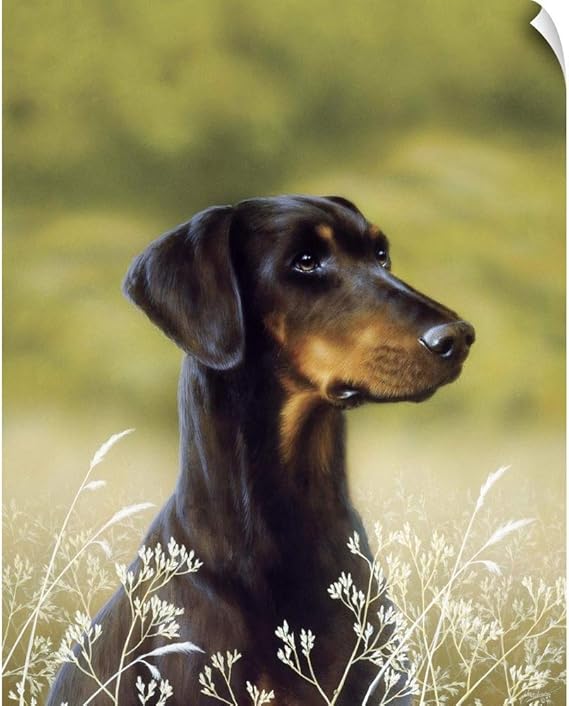 doberman pinscher hunting