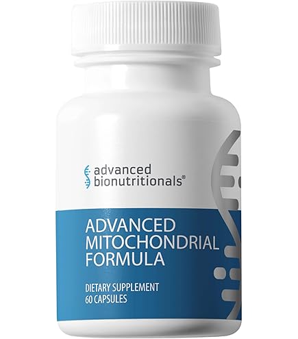 pvl l carnitine gold reviews Kevin Levrone Gold L-Carnitine 3000 500ml Blue Rasp : Amazon.ae: Grocery