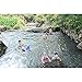 Idealplast Children Swim Learning Swimming Tools Float Shark Fins Pool Buoyancy Child Swimwear