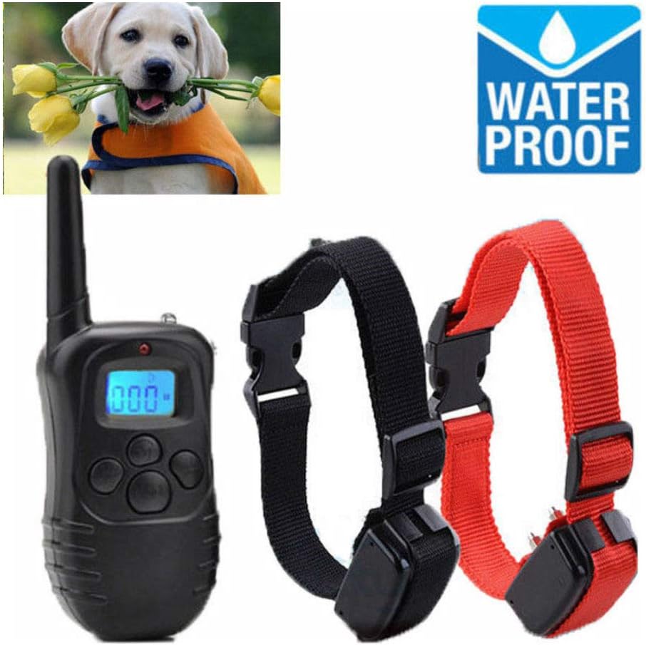 sit means sit e collar