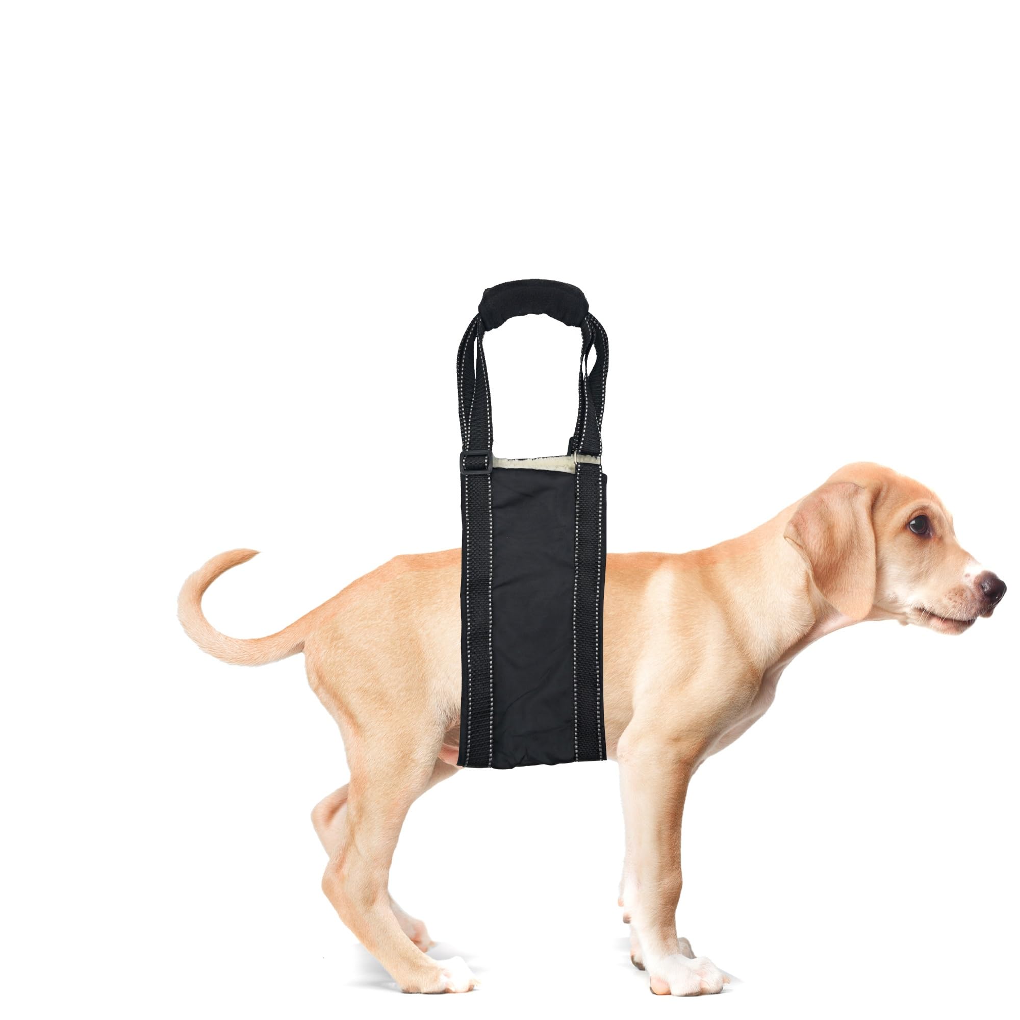 Adjustable Dog Lift Support Harness with Handles – Soft Padded Sling for Rear Leg Weakness, Senior, Injured, or Disabled Dogs, Post-ACL Surgery Rehab Reflective, Comfortable, Machine Washable - Large