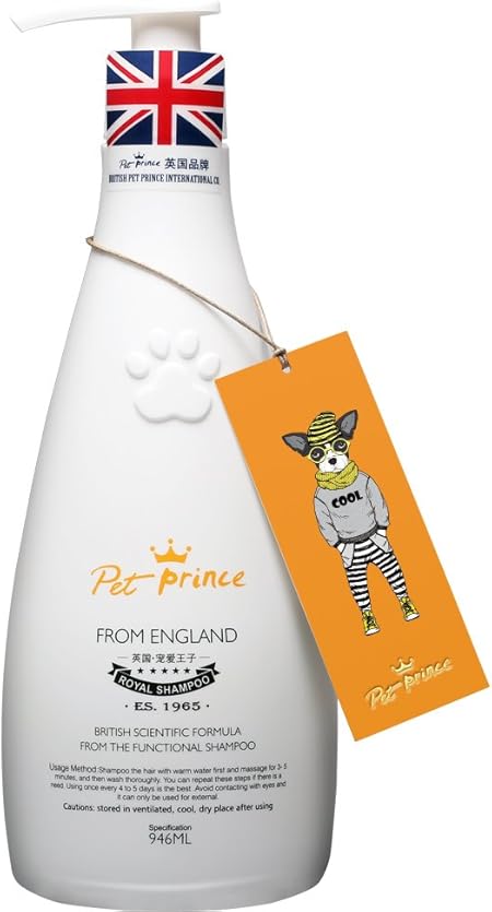 best online dog training