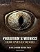 Evolution's Witness: How Eyes Evolved