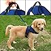 Copatchy No Pull Reflective Adjustable Dog Harness With Handle- Comfortable Soft All Weather Mesh, Easy On Puppy Harness For Small Medium and Large Dogs (Blue) Medium