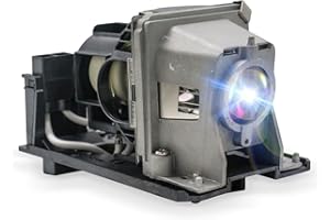 CTBAIER NP13LP/NP18LP Replacement Projector Lamp Bulb for NEC V230 V230X V260W V260R V260X V260 V260G NP110 NP115 NP115G NP210 NP210G NP215 NP215G NP216 NP216G NP216GEDU NP-V300W NP-V300X