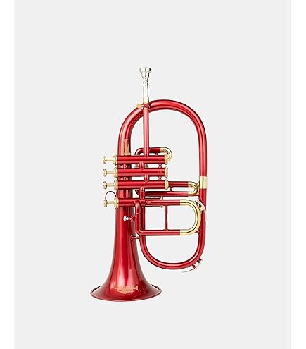 TROMBA プラスティック フリューゲルホルン ゴールド Amazon.com: Tromba Pro Professional Plastic Bb Flugelhorn, Golden