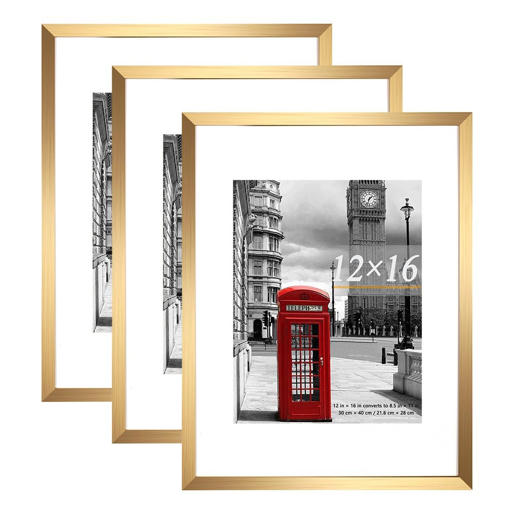Scholar Tree Gold Picture Frame 12x16 (30x40cm) with Mount for 8.5x11, Set of 3, 30x40cm Poster Frame,Wall Mountable
