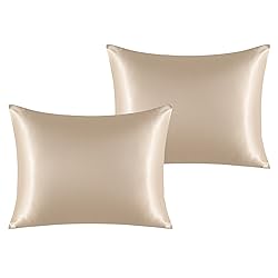 NTBAY 2 Pack Satin Standard Pillowcases for Hair