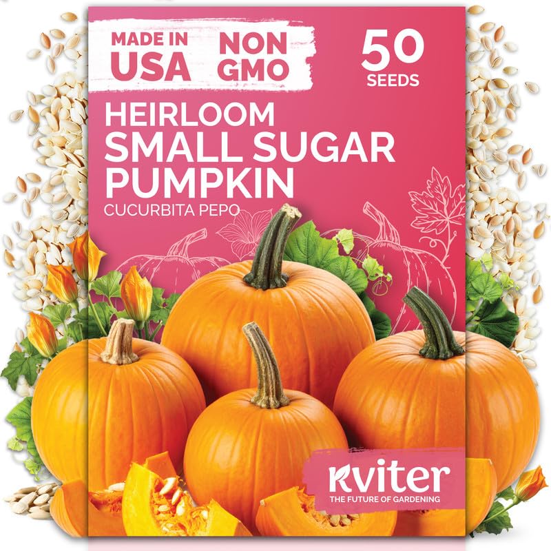 Sugar 50 Pumpkin Heirloom Vegetable Seeds