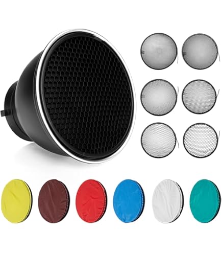 Amazon.com: Profoto 20 Degree Grid for Clic Magnum Reflector