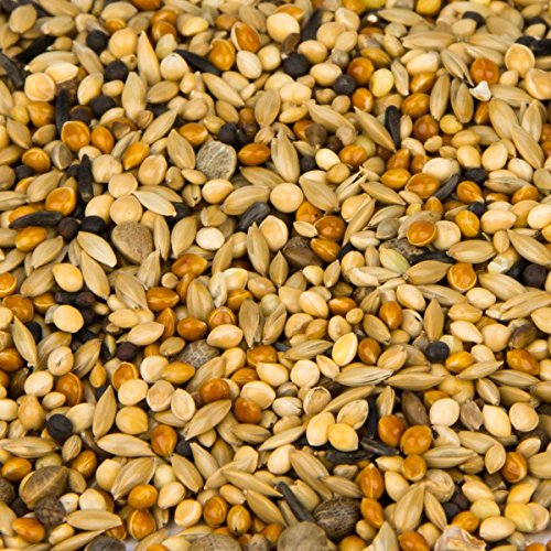 Leimüller Taubenfutter Sämereien Mix 25 kg - Artgerechtes Futter ohne GVO und Staub