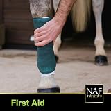 NAF NaturalintX Hoof Poultice Single Use Dressing for Horses view 4