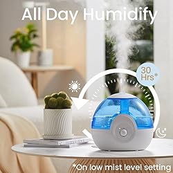 raydrop Cool Mist 2.2L Humidifiers for