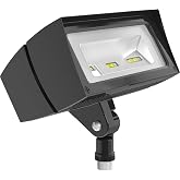 RAB Lighting Future Flood 18W 5000K LED | 18W 5000K