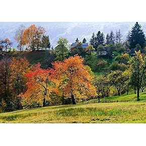 Autumn Cherry Tree in a Mountain Village. Solar Landscape. Carpathians, Ukraine, Europe - Removable Wall Mural | Self-Adhesive Large Wallpaper - 66x96 inches
